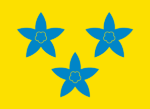 Flag of Nord-Aurdal